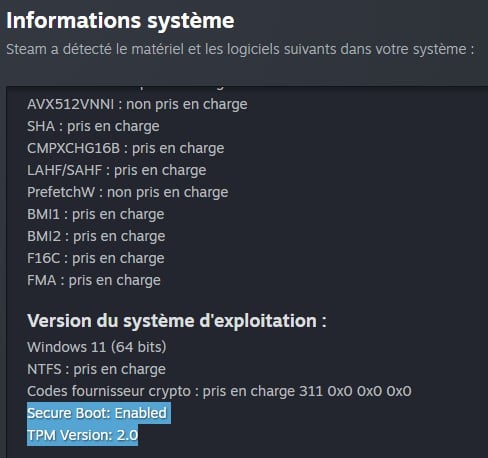 Informations Systeme Steam