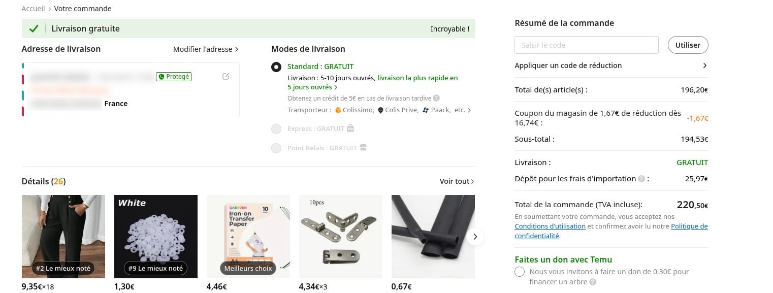 Temu Site Internet 4