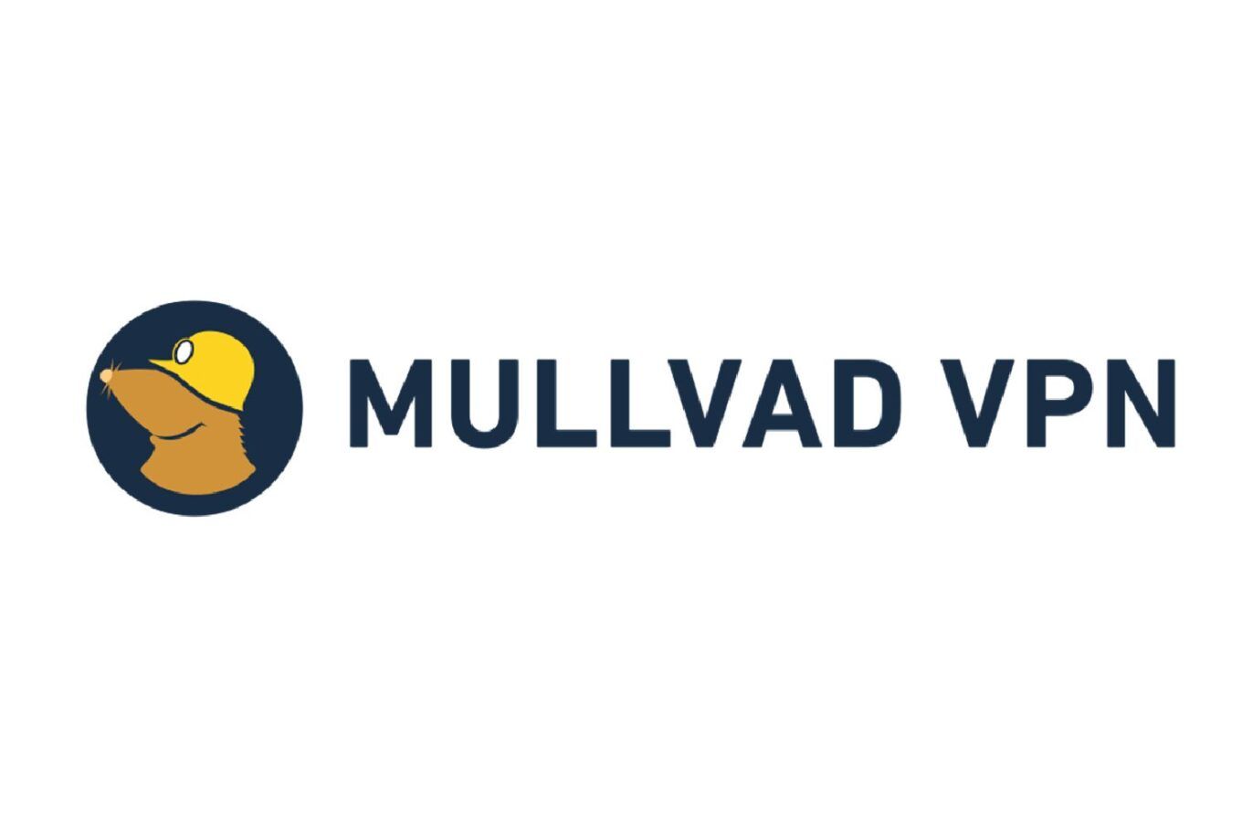 Mullvad Vpn Test Bewertung