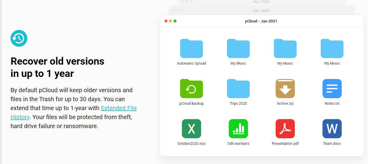 pCloud Backup
