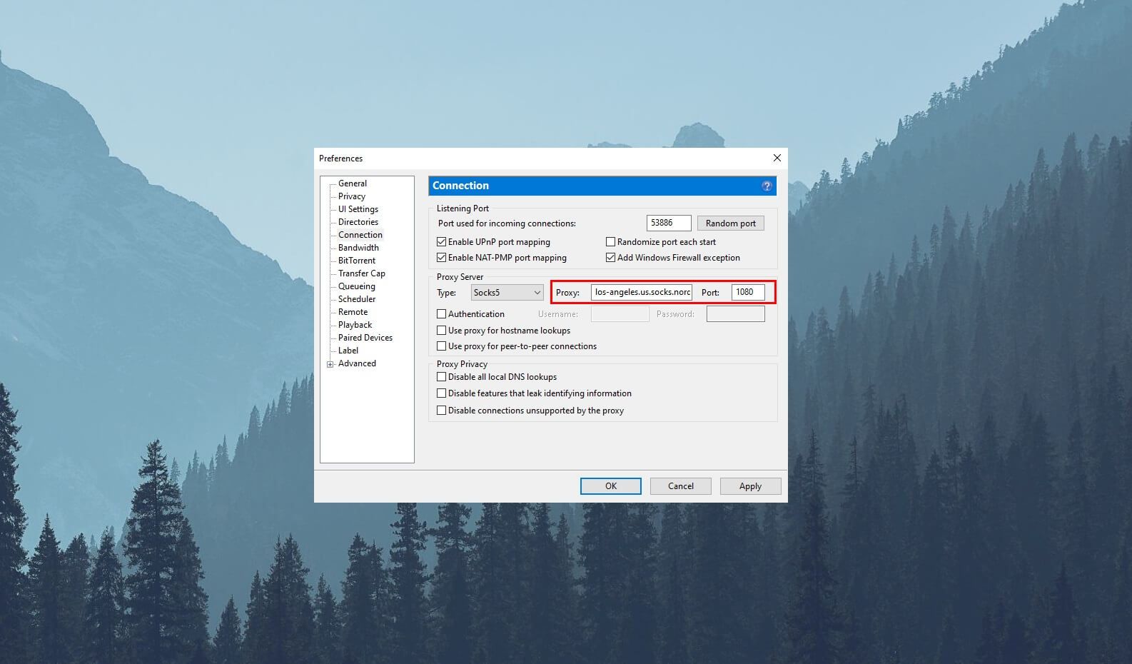 NordVPN SOCKS5 Torrent