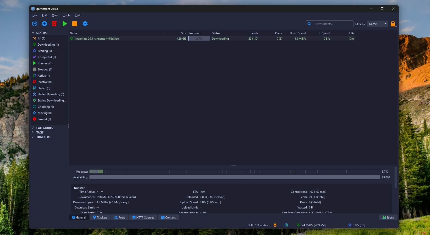Qbittorrent Windows